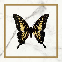 Villeroy & Boch VIKTORIAN dekor motýľ v zlate 20x20cm 10mm leštená