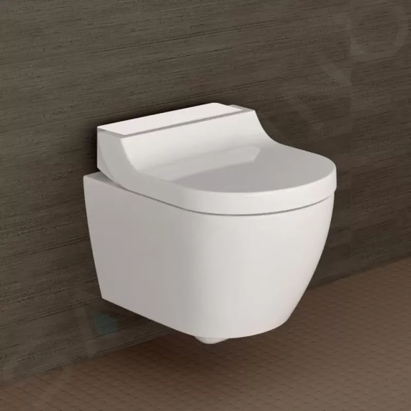 Geberit AQUACLEAN TUMA Comfort, kompletné závesné WC, brúsená ušľachtilá oceľ, 146.292.FW.